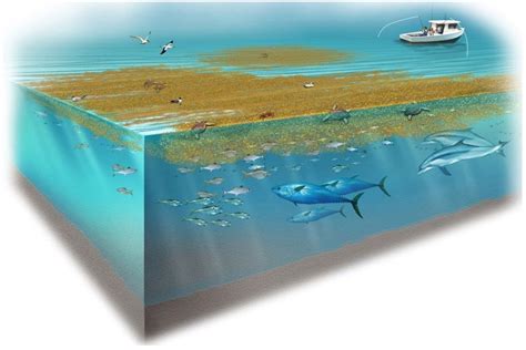 Hydrosphere a Level Geography に対する画像結果