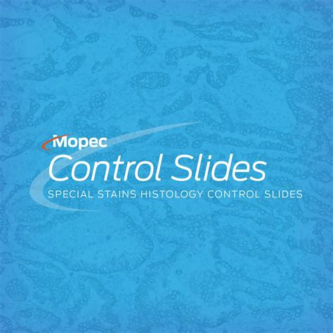 Acid-Fast Bacilli Slide Control に対する画像結果