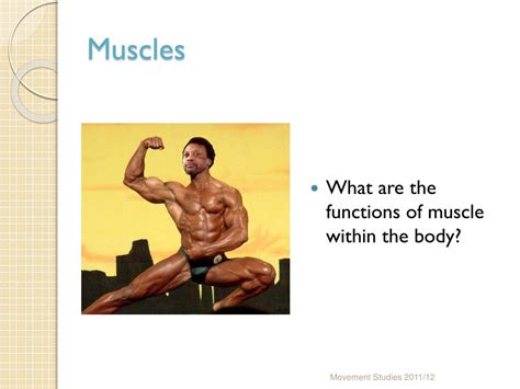 Muscles and Movement に対する画像結果