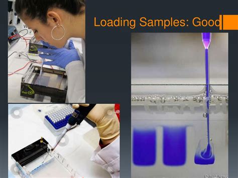 Image result for Loading Symples