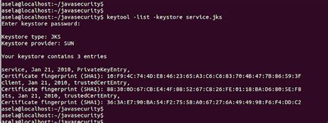 Java Key Storage に対する画像結果