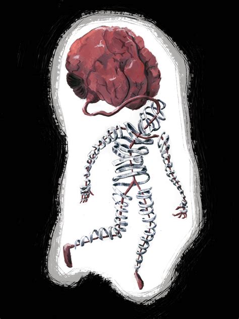 Body Proprioception に対する画像結果