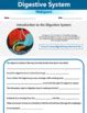 Image result for Digestive System WebQuest Answer Key