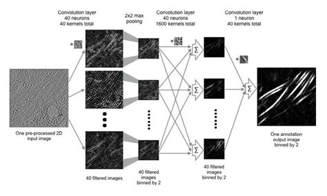 Image result for Feature Map Deep Learning
