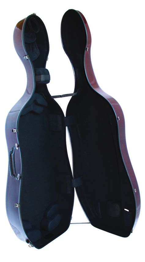 Image result for 5 String Cello Case