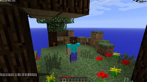 Image result for Minecraft Optifine Cape Banner