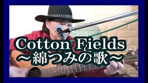 Cottonfields Banjo に対する画像結果