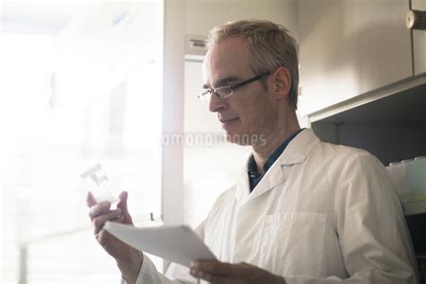 Image result for Metrologista