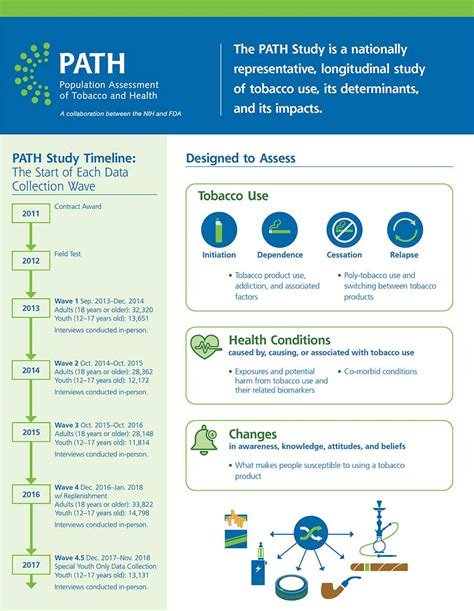 Al. Study Path に対する画像結果