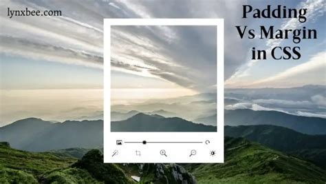 Toradh íomhá ar Difference Between Padding and Margin CSS