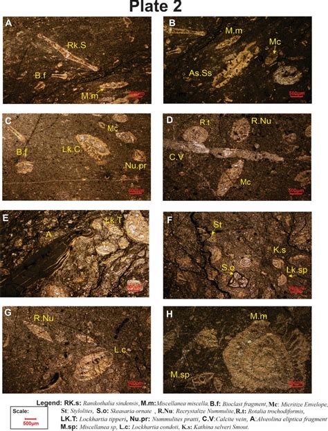Toradh íomhá ar Bioclastic