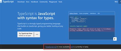 Toradh íomhá ar TypeScript Code Hardest Example
