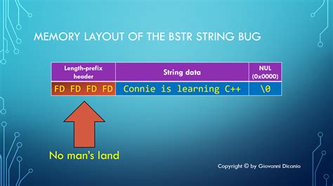 Memory Map Bug に対する画像結果