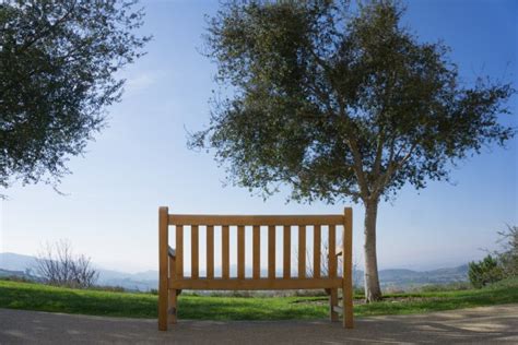 Image result for Viewing Bench