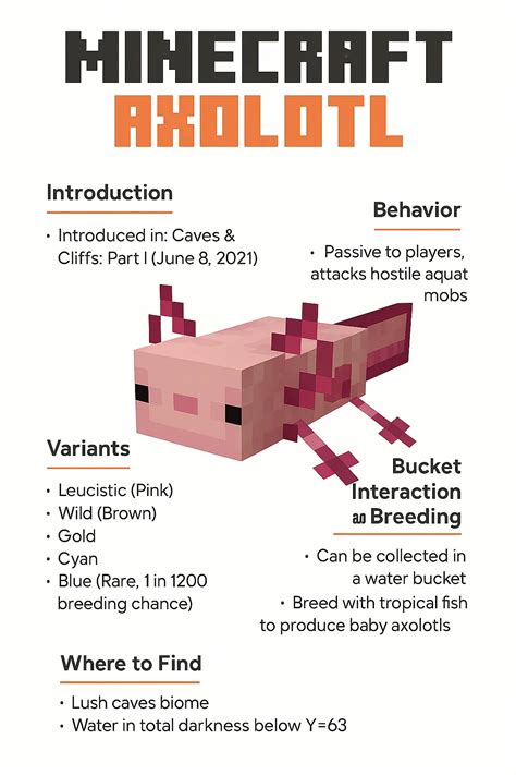 Afbeeldingsresultaten voor Rarest Axolotl Minecraft