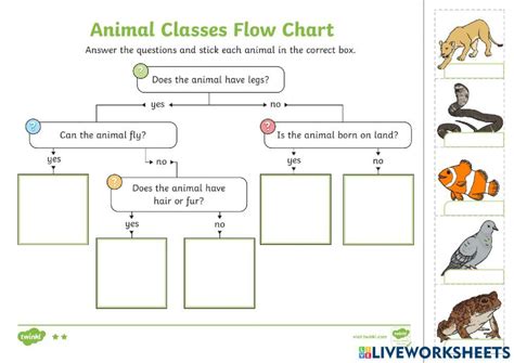 Image result for Science Process Skills Classifying Animals Worksheet