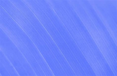 Image result for Line Work Patterns Blue