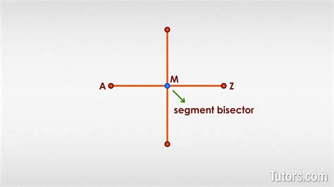 Segment Bisector (Definition, Examples, & Video)