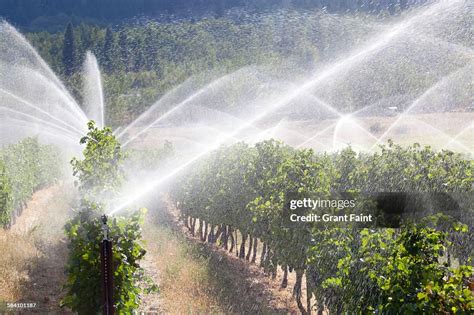 Image result for Edge Impulse Vineyard Irrigation