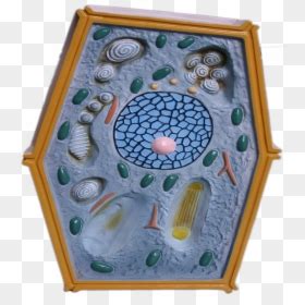 Image result for Biological Icon Transparent