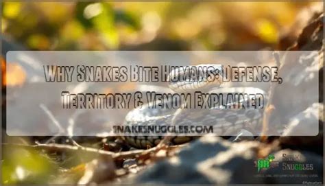 When Snakes Attack Humans に対する画像結果