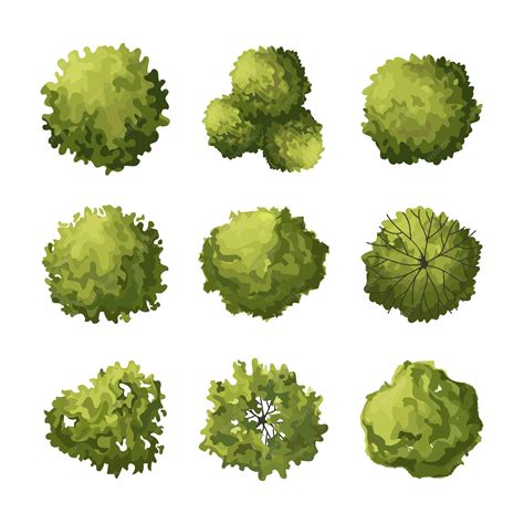 Image result for TreePlan Vector