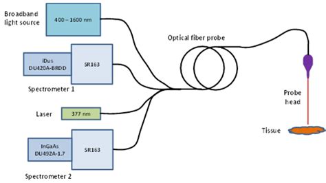 Image result for Diffuse Reflectance Spectroscopy Diagram