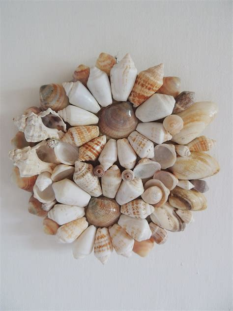 Afbeeldingsresultaten voor Round Sea Shells