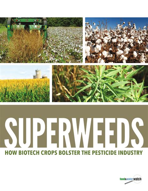 GMO Herbicide に対する画像結果