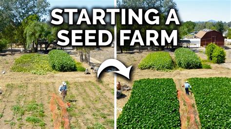 Image result for Simple Seed Farms