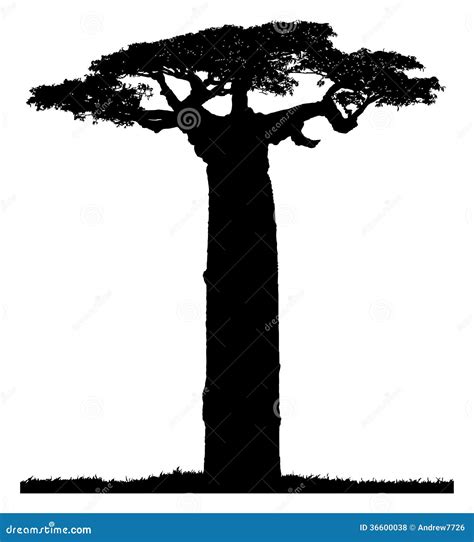 Image result for Picture of Baobab Tree for Silhouette