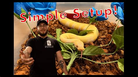 Image result for Ball Python Beeding Set Up