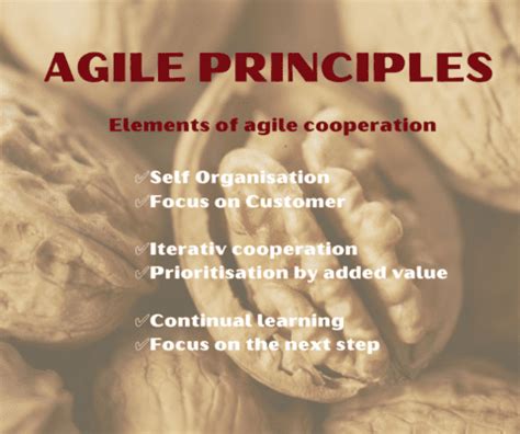 Image result for Agility Principles