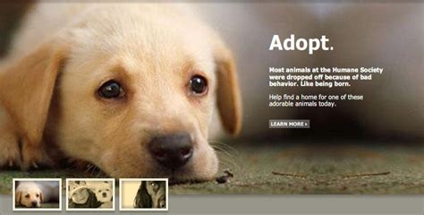 Image result for Pathos