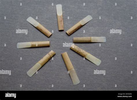 Image result for Simple Woodwind Instruments