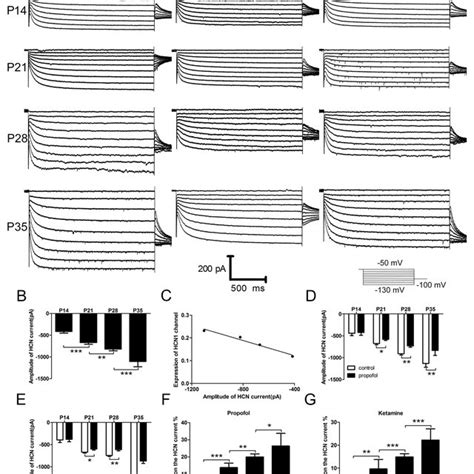 Image result for Credit Assignment Problem in Neural Networks