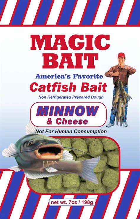 Image result for How to Use Minnows for Catfish Bait