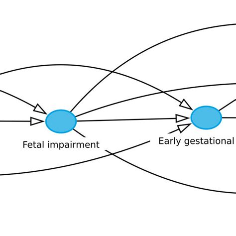 Toradh íomhá ar Most Complex Possible Graph
