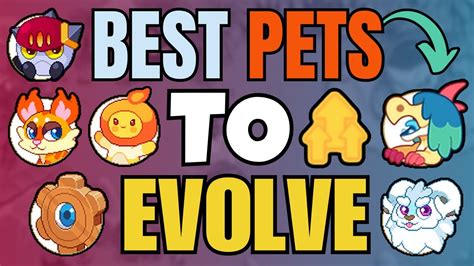 The BEST Pets to Evolve in Prodigy! Part 5 | Prodigy Math Game - YouTube