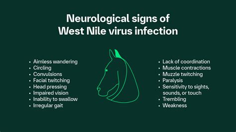 Toradh íomhá ar West Nile Virus Icon