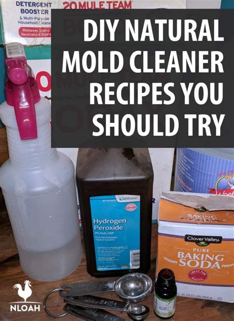 Homemade Mold Cleaner Recipes に対する画像結果