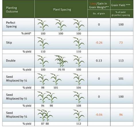 Image result for Planting Corn Spacing