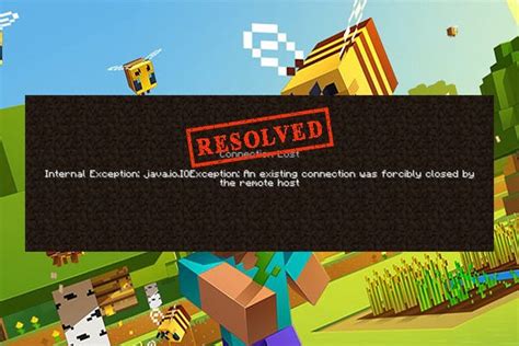 Toradh íomhá ar Java.ioexeption Minecraft Error