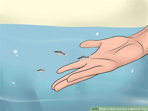 Image result for How to Use Minnows for Catfish Bait