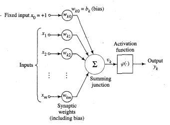 Image result for Linear/Nonlinear Neuron Model