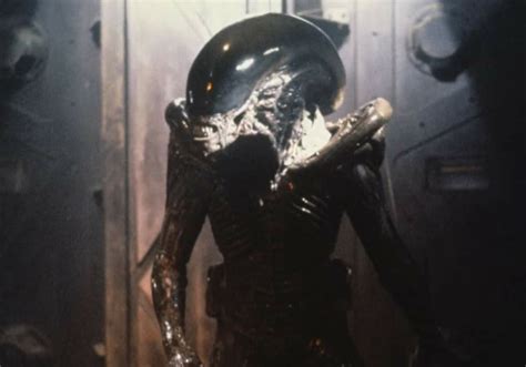 Afbeeldingsresultaten voor Alien 3 Fury 161