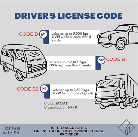 Image result for Codes for Drivers License