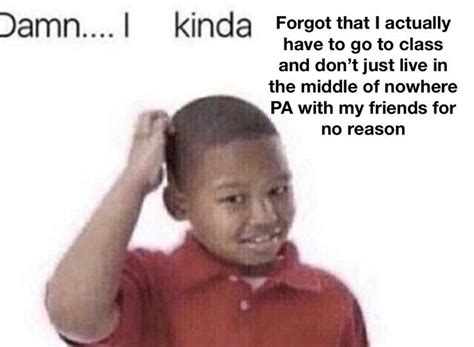 Toradh íomhá ar File Head Meme