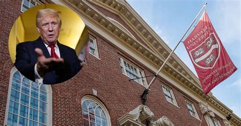 Image result for PhD Tax Harvard