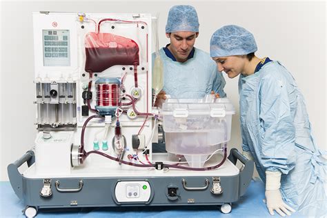 Toradh íomhá ar Liver Back Table Procurement